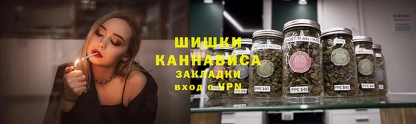 крисы Белокуриха