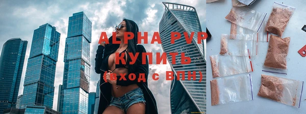 крисы Белокуриха