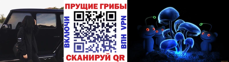 Псилоцибиновые грибы мицелий  Новотитаровская 