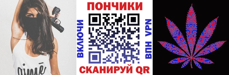 Бошки марихуана конопля  что такое наркотик  Новотитаровская 
